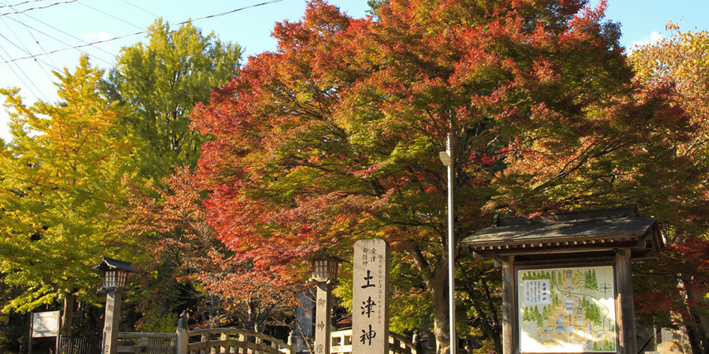 綺麗な紅葉も楽しめる土津神社